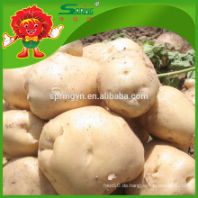 Hochwertige frische gelbe Kartoffel zum Verkauf frische Röstkartoffel